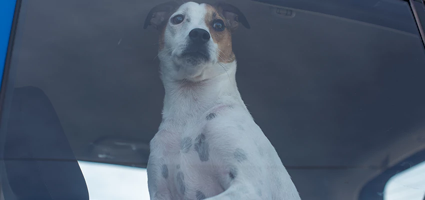 Car Lockout Solutions in Sacramento, California